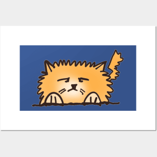 Fluffy Orange Cat Posters and Art